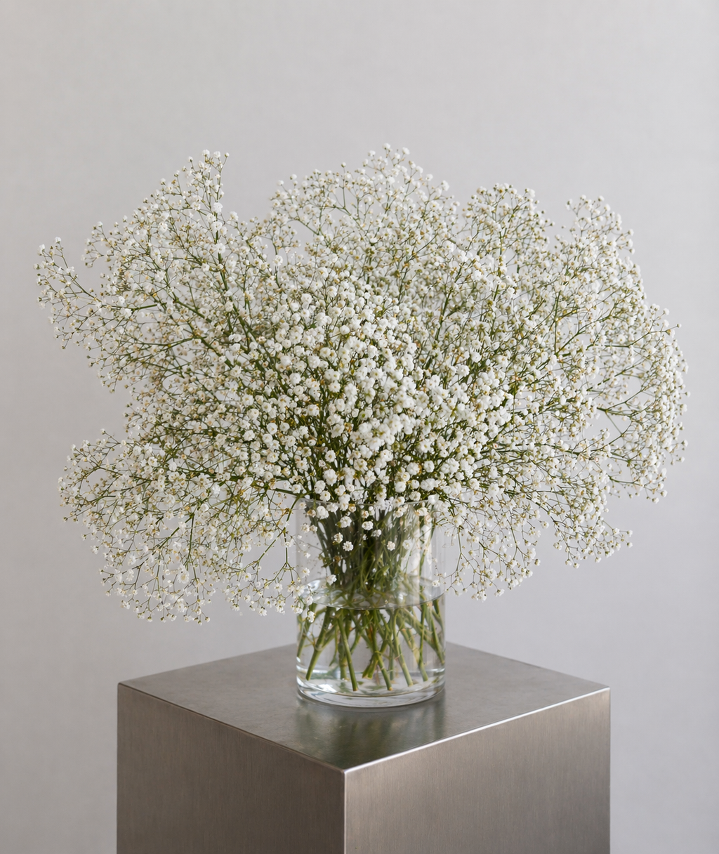 Bouquet Gypsophile blanc XL