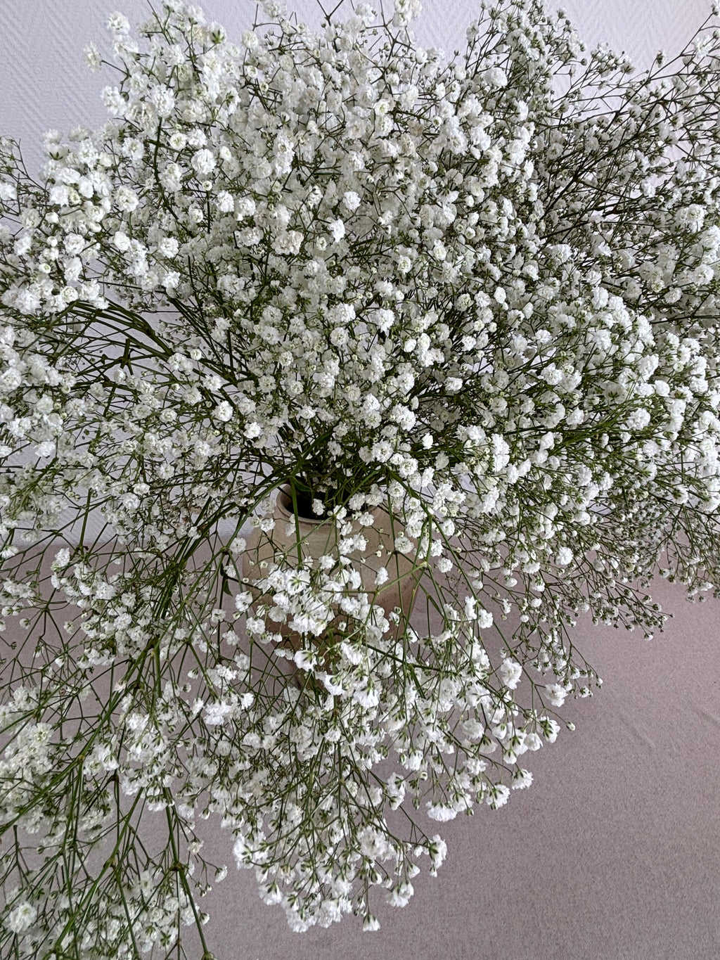 Bouquet Gypsophile blanc XL