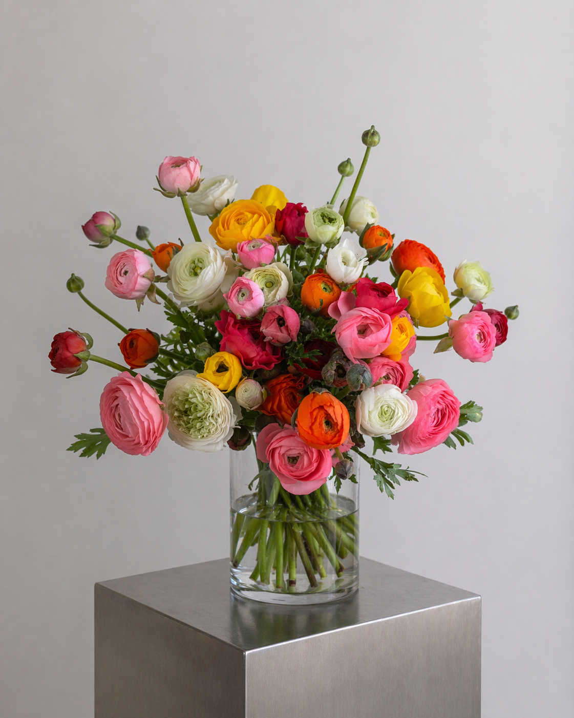 Bouquet 30 renoncules multicolores