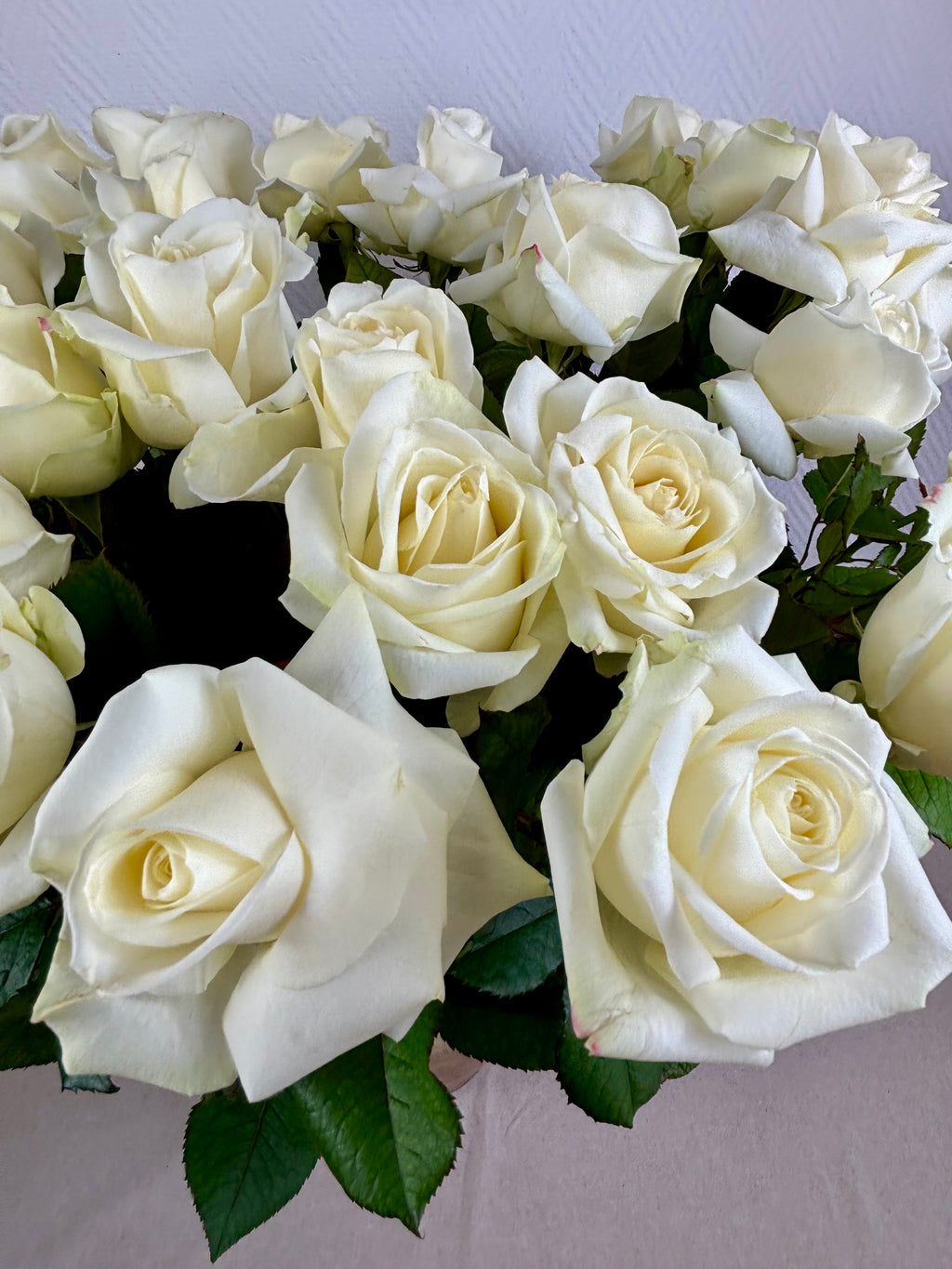 Bouquet de 10 roses blanches Avalanche 70 cm