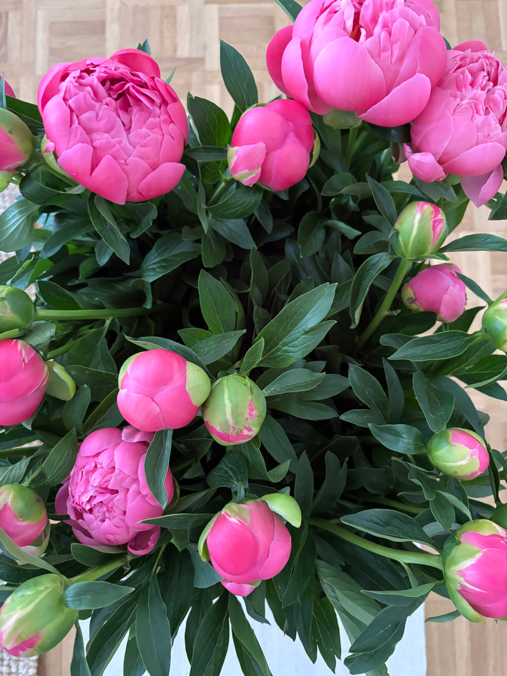 Pivoine roses bouquet 20 tiges